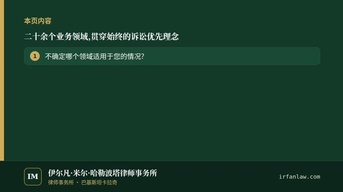 二十余个业务领域,贯穿始终的诉讼优先理念:本页内容——不确定哪个领域适用于您的情况?