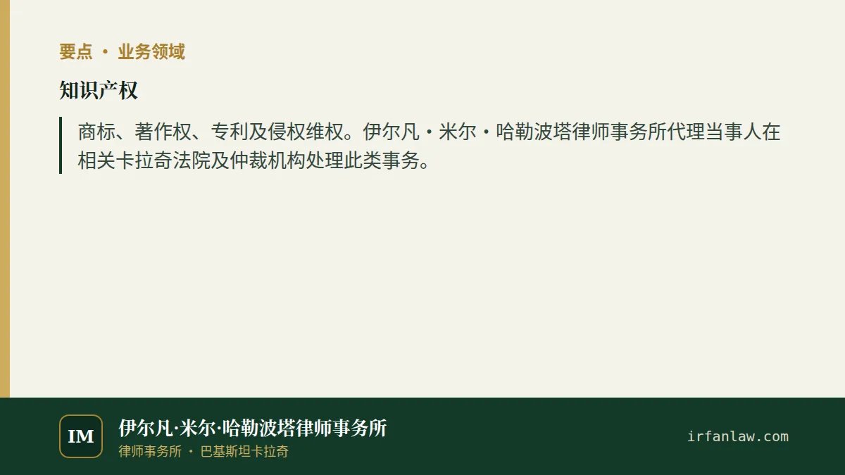 知识产权:要点摘要